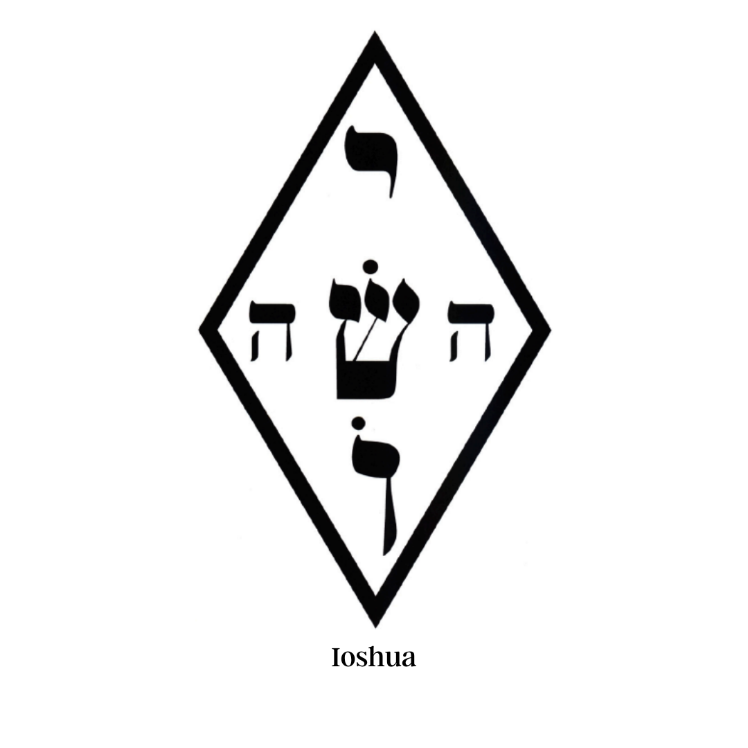 Autoestima, Positividad y Vitalidad | Orgonita con Cuarzo Rosa y Jaspe Rojo