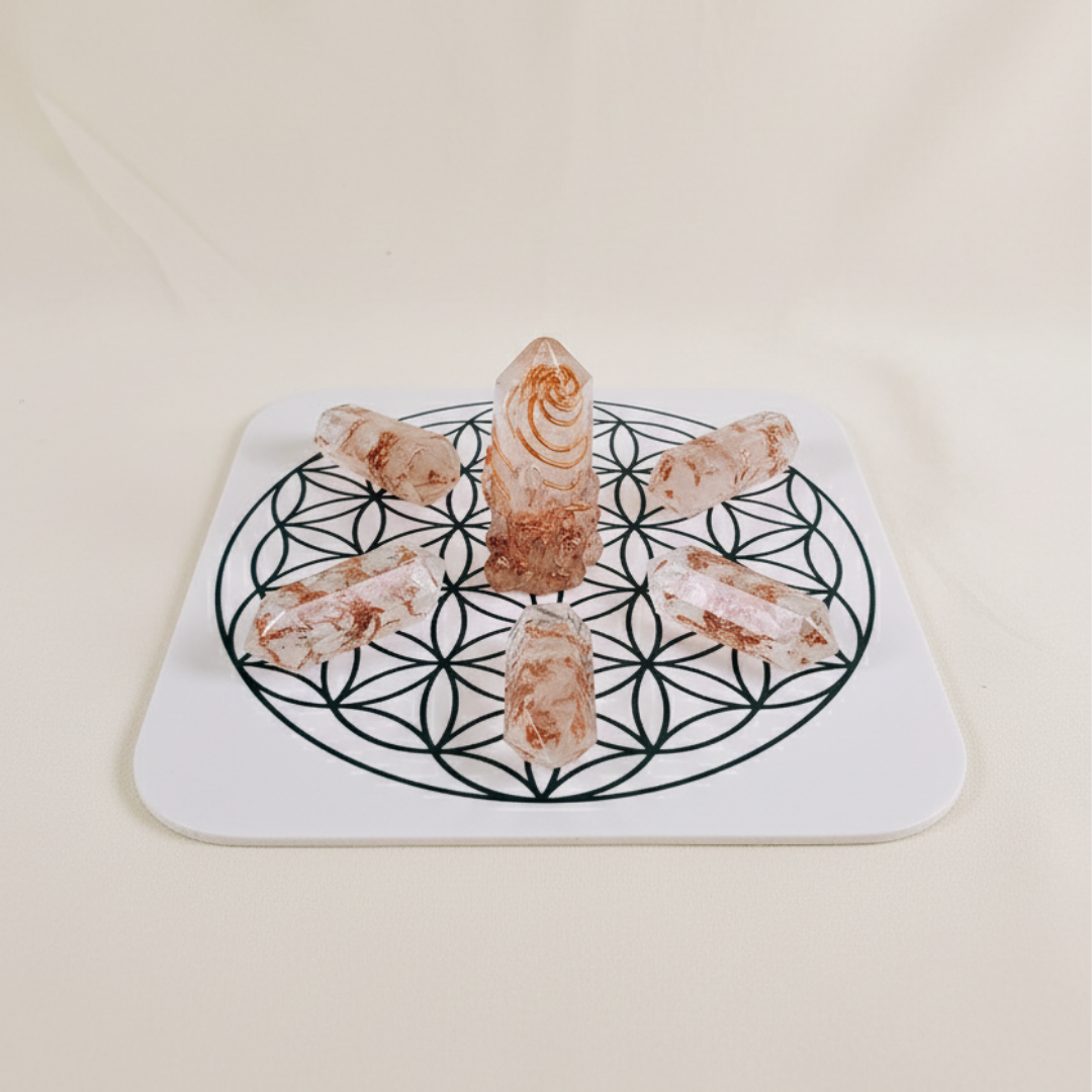 Flor da Vida | GRID - Expansão do Potencial