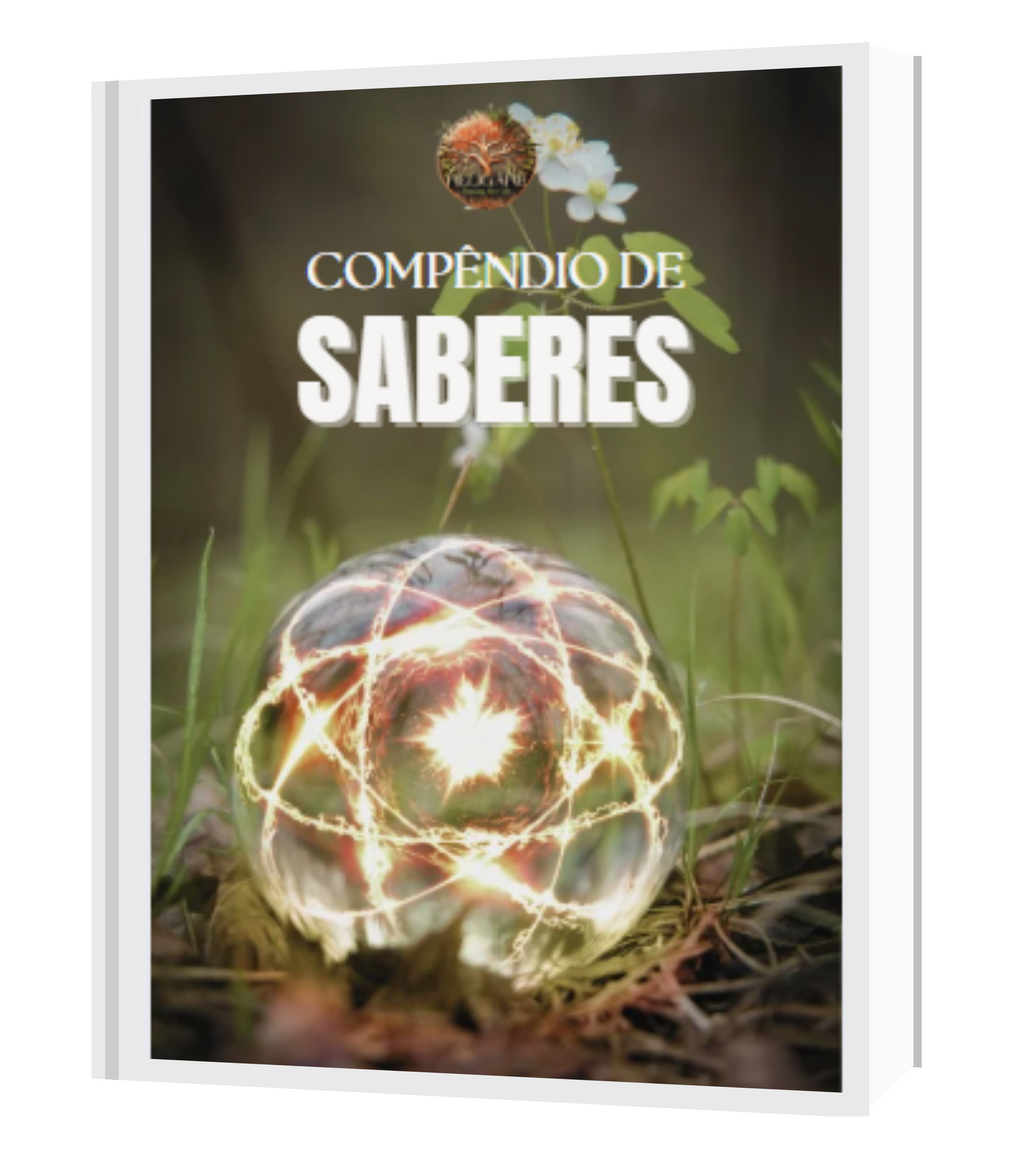 e-Book "Compêndio de Saberes"